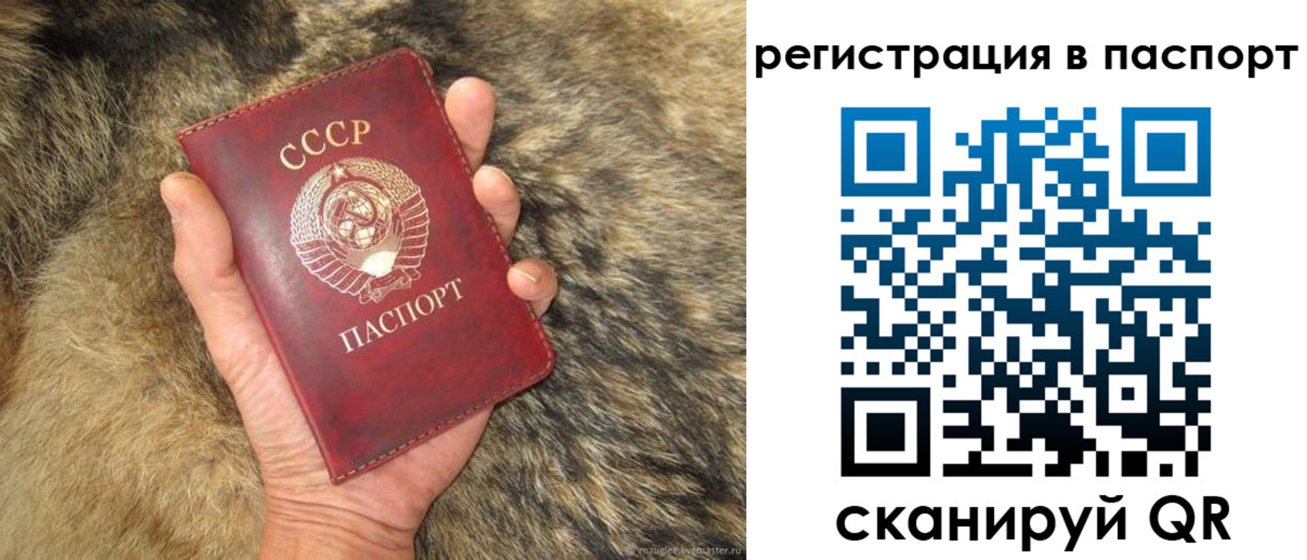 прописка 2025 в Тольятти